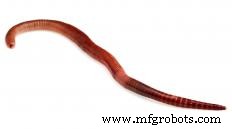 Exploring the Three Core Types of Agricultural Raw Materials