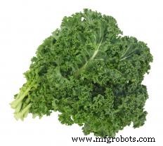 Exploring Perennial Crops: Types, Benefits, and Commercial Potential