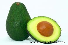 Exploring Perennial Crops: Types, Benefits, and Commercial Potential