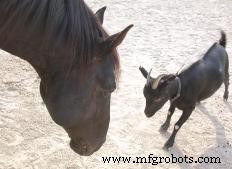 Essential Types of Farm Buildings for Efficient Operations