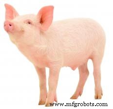 Essential Types of Farm Buildings for Efficient Operations