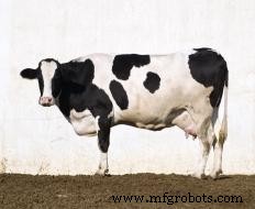 Essential Types of Farm Buildings for Efficient Operations