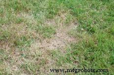 Landscape Irrigation Explained: Efficient Watering for Lawns & Gardens