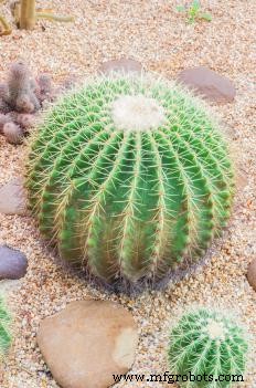 Understanding Sharp Sand: Composition, Uses, and Benefits