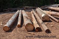 What Is a Lumber Mill? How Wood Is Turned into Building Materials