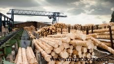 What Is a Lumber Mill? How Wood Is Turned into Building Materials