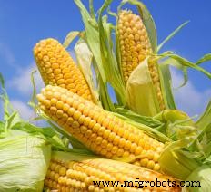 Quicklime Explained: Properties, Production, and Industrial Uses