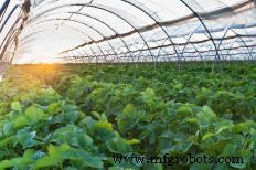 Agricultural Technology: Tools, Machinery, and Innovations Shaping Modern Farming