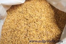 Understanding Crop Farming: Methods, Careers, and Challenges