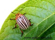 Understanding Crop Farming: Methods, Careers, and Challenges