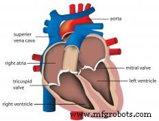 Understanding Valves: Types, Functions, and Applications