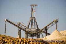 Understanding Pulpwood: Types, Harvesting, and Uses in Paper and Beyond