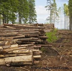 Understanding Pulpwood: Types, Harvesting, and Uses in Paper and Beyond