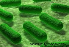 Understanding Raw Sewage: Sources, Risks, and Treatment