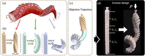 Robotics Highlights & Future Outlook – December 2021