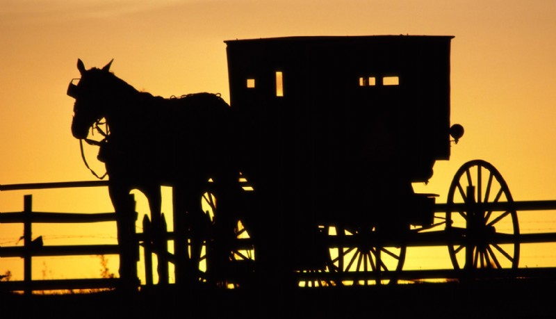 Revolutionizing Cheese Production: The Fully Automated Brine System