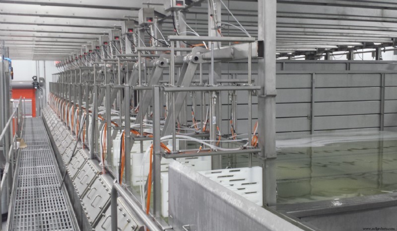 Revolutionizing Cheese Production: The Fully Automated Brine System