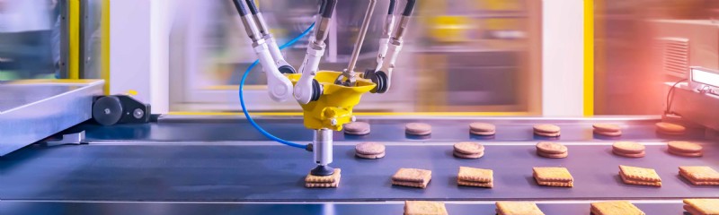 Leading Robotic Innovations Transforming Food Processing