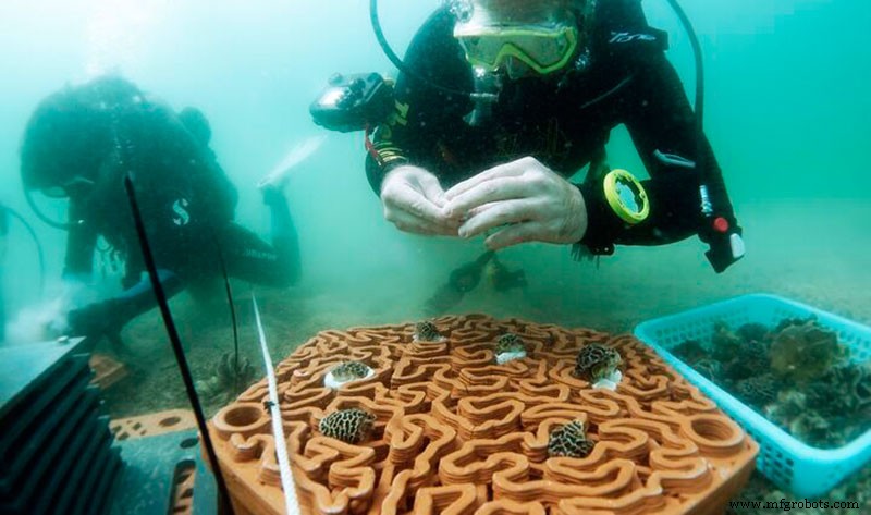 3D Printing Boosts Coral Reef Restoration