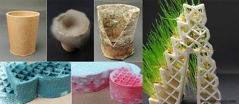 Celebrating a Decade of Innovation with Lay Filaments