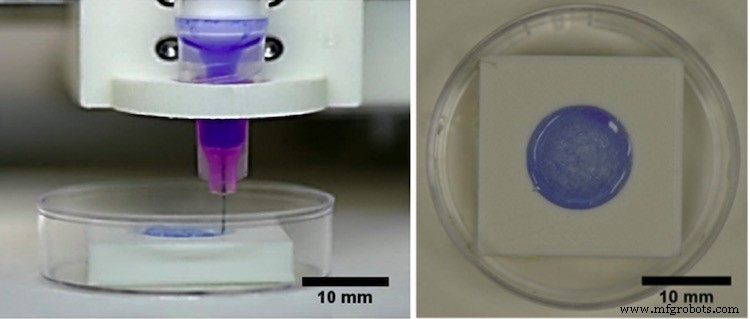 New 3D‑Printed Bio‑Ink Corneas Could Cut Donor Shortages – 10‑Minute Fabrication Achieved