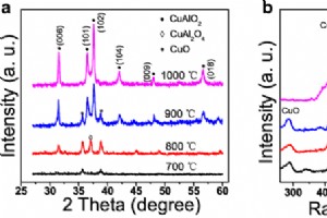 Preparação e caracterização de transistores de película fina CuAlO2 do tipo p nanocristalino processado em solução