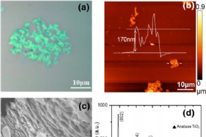 Difração de raios X de alta pressão in situ e estudo de espectroscopia Raman de Ti3C2Tx MXene