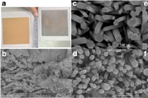 Papel fotocatalítico flexível com Cu2O e Nanopartículas de ZnO decoradas com nanopartículas de Ag para fotodegradação de corante orgânico à luz visível
