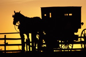 Revolutionizing Cheese Production: The Fully Automated Brine System