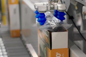 適切なロボット システムを構築するための重要な役割