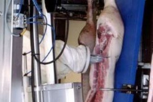 食肉産業と産業用ロボット アームの未来