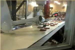 Fanuc 食肉処理ロボットによる汚染物質の除去