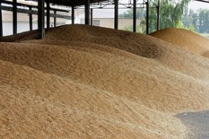 定制独立酿酒粮仓