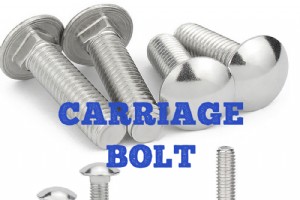 马车螺栓：定义、尺寸、类型、等级、扭矩、用途和方头螺栓比较 