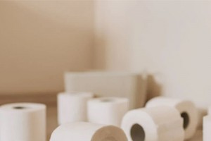 Emerging Trends in Hygiene Product Manufacturing within the Pulp and Paper Sector