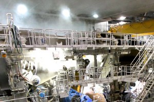 Pulp & Paper Industry 2030: Navigating Sustainability and Innovation