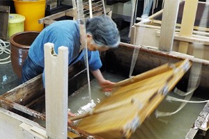 Chemical Pulping in Paper Production: Balancing Efficiency, Strength, and Sustainability