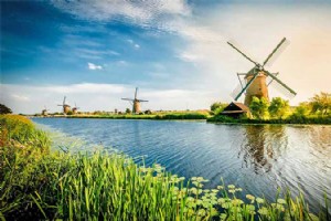 Blue Elephant、オランダの世界中の顧客向けテクニカル サポート サービスを強化 