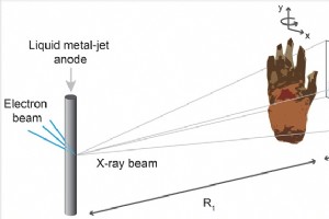 先进的相差 X 射线成像揭示古代木乃伊的血管和神经 