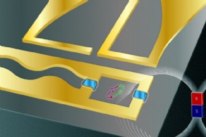 人工智能驱动的量子技术将磁力计灵敏度提高六倍 