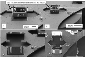 世界上的小房子：20 微米的微观结构 