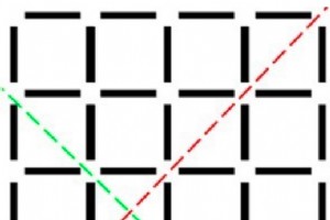 超薄、节能的 LCD 可以改变印刷媒体 