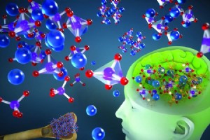 探索人脑中的量子计算 