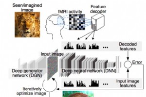 人工智能现在可以可视化你的想法——日本研究人员创建基于大脑的图像重建 
