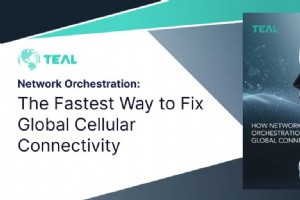 Network Orchestration: Rapidly Resolve Global Cellular Connectivity Challenges
