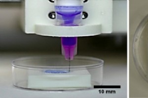 Neue 3D-gedruckte Bio-Tinte-Hornhäute könnten Spendermangel lindern – 10-Minuten-Fertigung erreicht