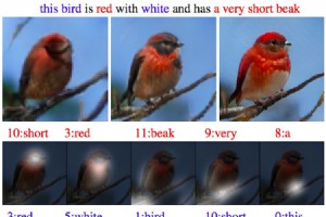 Microsoft stellt AttnGAN vor: KI, die Textbeschreibungen in fotorealistische Bilder verwandelt